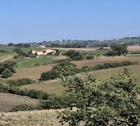 MONTEFALCO (PG) FRAZ. TURRITA, LOC. CORTIGNANO, CASE...