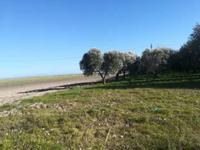 Piena proprietà di terreno agricolo della superficie...
