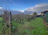 I diritti di 5/6 della piena proprietà su appezzamento di terreno pianeggiante di forma regolare sito nel Comune di Porcari, interno alla via Toschino.