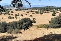 LOTTO N.2 Complesso immobiliare ad uso agricolo per...