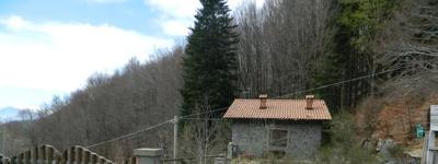 A) fabbricato indipendente ad uso civile abitazione elevato su due livelli. Piano terra composto da cucina-tinello, disimpegno, due camere da letto e bagno. Seminterrato composto da locale uso cant...