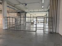 Scaffalature (ID da n. 223 a n. 227) e armadietti...