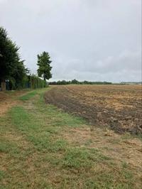 Piena proprietà di due appezzamenti di terreno agricolo...