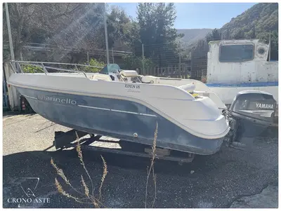 Lotto costituito da:- un’imbarcazione Marinello Eden 18 con motore Yamaha 40cv;- carrello in acciaio di dimensioni 453 x 194 cm per movimentazione imbarcazioni;- un’imbarcazione in vetroresina “San Benigno”, lunghezza 6 metri;- estintori;