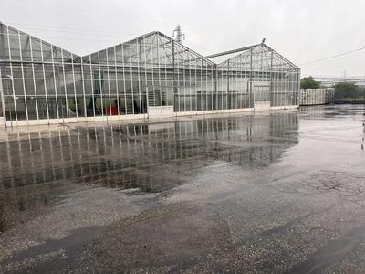 Fondo rustico costituito da vivaio orticolo con annesso "garden", nonché dei...