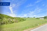 Terreni agricoli di 8.126 mq, a Val di Nizza (PV), in...
