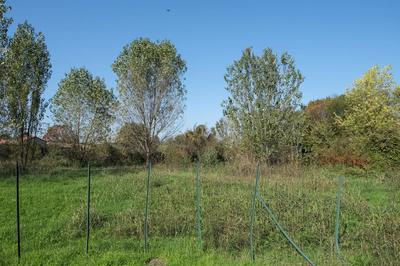 LOTTO 24: appezzamento di terreno di natura pianeggiante e forma regolare, avente consistenza 2.383 mq