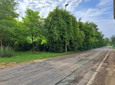 LOTTO TERZO: Terreni ricadenti in zona E4.1 - ambiti agricoli di riequilibrio ambientale e parte in viabilità esistente e/o di previsione e parte in verde di arredo. Libero. Difformità catastali sanabili