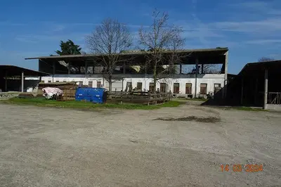 Quota di metà di usufrutto di: compendio agricolo 