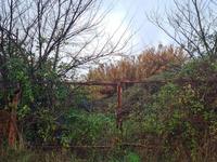 Terreno di natura edificabile, di forma pressoché...