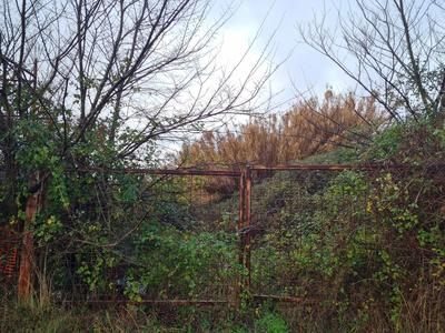 Terreno di natura edificabile, di forma pressoché regolare ad andamento pianeggiante, facente parte di più ampio Piano di Lottizzazione residenziale, parzialmente edificato, in località Le Melorie del Comune di Ponsacco, con accesso da via Colombo, a 2 km dal centro del capoluogo comunale in zona ben servita e prossima alle attività commerciali e direzionali di maggior rilievo, compreso la scuola elementare.Il terreno pignorato risulta in completo stato di abbandono. 