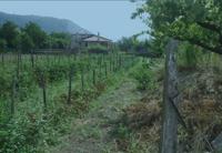 PIENA ED ESCLUSIVA PROPRIETÀ di appezzamento di terreno,...