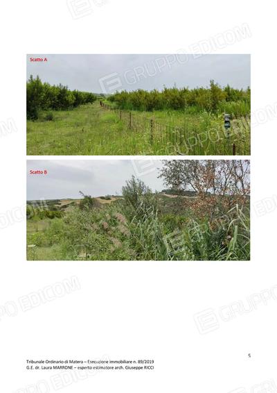 piena proprietà terreno agricolo ubicato nel Comune di Tursi (MT) alla...