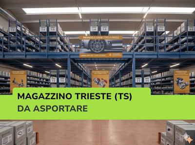 Trieste - Beni da Asportare - Magazzino Ricambi Auto e Strumentazione Officina - vendita telematica sulla piattaforma www.gobid.it n.32477
