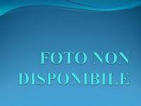 SPOLETO (PG) FRAZONE SANTA CROCE - LOTTO 11