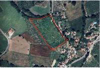 Terreni edificabili e non di complessivi 25.990 mq, siti...