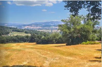Terreni agricoli di mq 221655 a Monte Castello di Vibio (PG), nelle località...