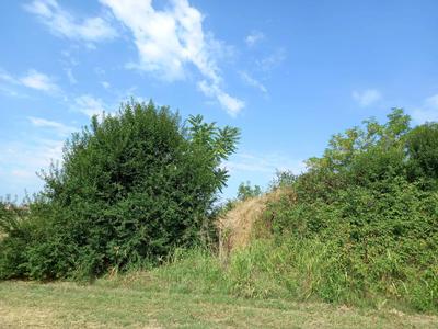 Piena proprieta' di terreno edificabile, composto da piu' mappali,...