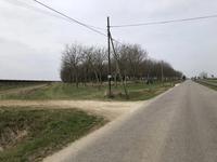 Compendio immobiliare sito in Comune di Oderzo (TV),...
