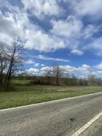 LOTTO III - TERRENI AGRICOLI NEL COMUNE DI MOMBELO...