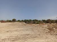 PIENA PROPRIETA' DI TERRENO AGRICOLO SITO NEL COMUNE DI...