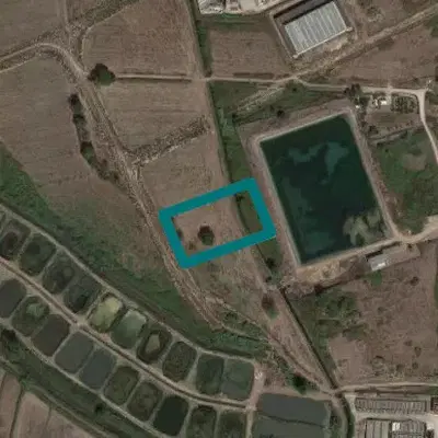 RACCOLTA OFFERTE - Terreni edificabili a Fondi (LT), Località Pantanello -...