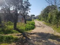 piena proprietà degli immobili siti in Comune di Latina...