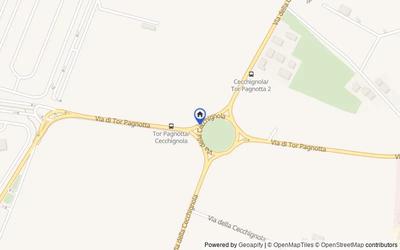 Mappa della zona: VIA DI TOR PAGNOTTA, 00100, Roma, Roma