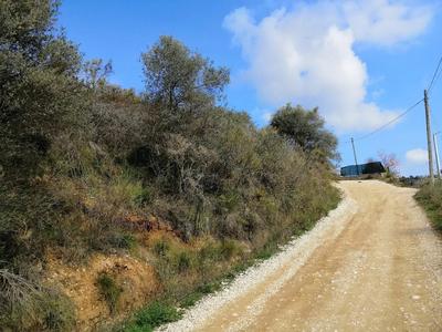 APPEZZAMENTO DI TERRENO VIGNETO E SEMINATIVO CONTRADA SAN SALVATORE RIPATRANSONE