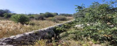 Terreno agricolo potenzialmente irriguo, adibito alla coltivazione di agrumi, olivi e seminativi, della superficie ha 58.43.52. Il fondo dispone di autonomia idrica ed è composto da 11 particelle, di cui 9 tutte contigue e da un corpo di minori dimensioni composto dalle particelle n. 265 e 260, distaccato dal primo di circa 40 mt. Al terreno si accede attraverso la stradella interpoderale, priva di identificativo catastale autonomo, che si diparte dalla Strada Statale SS 115 Ispica – Rosolini.