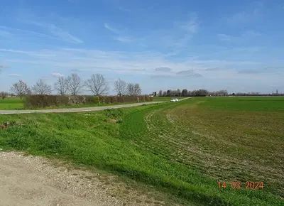 Quota di metà di usufrutto di: Terreni agricoli di tipo "seminativo" ubicati in prossimità della "strada vicinale detta Chittola", posti ad una distanza di circa 500 metri dal complesso principale di via Gambolina formante il lotto 1; I terreni sono individuati nel vigente PGT nelle "Aree non comprese nel perimetro IC" art. 45 quali aree del PARCO LOMBARDO DELLA VALLE DEL TICINO 