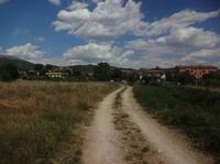 Quota proprietà di 1/1 di un complesso immobiliare...