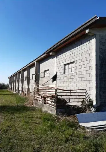LOTTO PRIMO: A - Edificio in un unico piano (terra), adibito principalmente a deposito cereali e macchine agricole, nonché tettoia, il tutto insiste sulla p.lla 412 della superficie di mq 10650. Lo stesso edificio è pertinenziale ai due immobili descritti con le part.lle 442 e 443. Nel suo complesso l'immobile presenta degli interventi realizzati in assenza di titolo edilizio ma comunque sanabili.