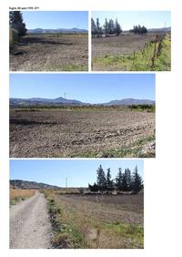 terreni agricoli siti in agro di Tursi (Mt) alla contrada Canala