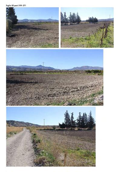 terreni agricoli siti in agro di Tursi (Mt) alla contrada Canala