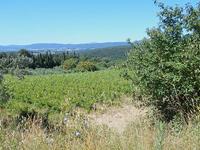Diritto di piena e intera proprietà di terreno agricolo...
