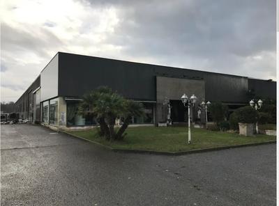 Capannone ad uso commerciale con locale espositivo al piano terreno, sul lato prospiciente la pubblica strada con retrostante locale magazzino parzialmente soppalcato corredato, al piano primo, con accesso tramite scala interna da tre vani ad uso ufficio con servizi. Il tutto è corredato da resede di pertinenza urbana esclusiva, parzialmente gravato da servitù di passo. Antistante al capannone vi è il resede di pertinenza urbana esclusiva ed è costituito da area a verde e parcheggio.