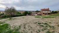 Piena proprietà 1000/1000 di terreno in Morciano di...