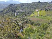 Piena proprietà della villetta isolata distribuita su...