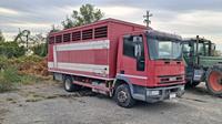 (Lotto n.12) - Autocarro marca IVECO modello EUROCARGO...