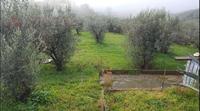GUALDO CATTANEO (PG) LOC. POZZO SNC