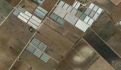 1/1 di proprietà di Terreno in Noto, c.da Burgio esteso complessivamente Ha 1.77.39,  ed identificato al C.T. al fg. 426, p.lle 224, 767, 1032 (ex p.lla 246) e 1033 (quest’ultima, anch’essa ex p.lla 246, costituito da un fabbricato rurale di mq. 31)