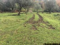 Piena proprietà di un casolare di campagna e dei terreni...