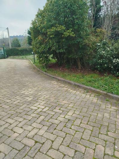 Due unità immobiliari con destinazione d'uso residenziale, distinte catastalmente (sub. 6 e sub. 5) ma di fatto collegate internamente da una scala. Detto immobile insiste su corte comune (bene comune non censibile sub. 7) oltre ai terreni che circondano la proprietà. 