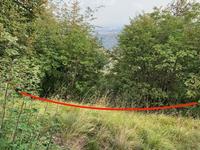 Terreni agricoli vari con sovrastante edificio rurale in...
