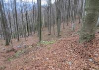 Terreni agricoli