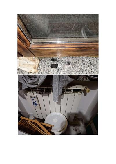Appartamento al piano terra con accesso dalla via campo al n. 48 in...