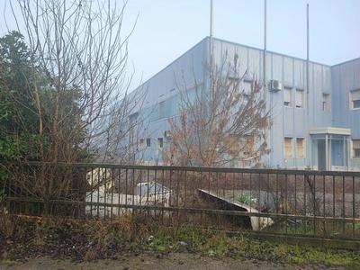 Capannone con uffici interni e con area cortiliva, sito in Fiesso Umbertiano (RO), loc. Piacentina, Via Leonardo Da Vinci n. 37. Il presente Lotto è composto da capannone ad uso produttivo avente una superficie di circa 2.465mq con un blocco uffici al suo interno suddiviso su due piani avente una superficie complessiva di circa 352mq. L'area di proprietà, costituita dai mappali 137 e 156, ha una estensione complessiva di 5.903mq.