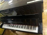 Strumenti musicali e loro accessori (Articoli nuovi)