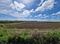 Piena Proprietà di terreno agricolo della superficie...
